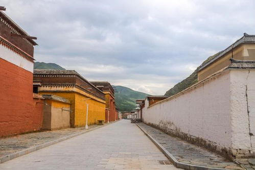 走进拉卜楞寺，感受世界上最长的转经长廊与浓郁藏式风情